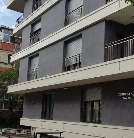 Ultra Lux Konforlu Modern Ev Istanbul
